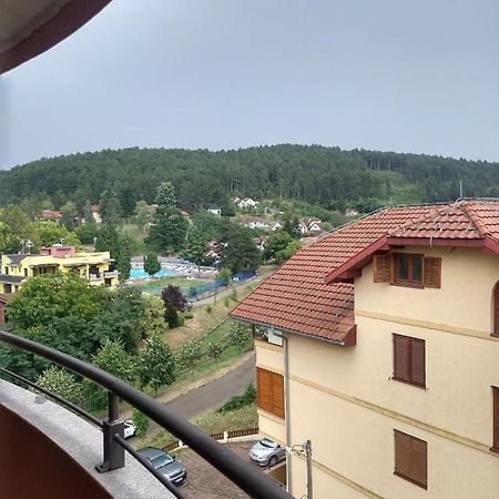Apartman Ninic Vrnjačka Banja Екстериор снимка